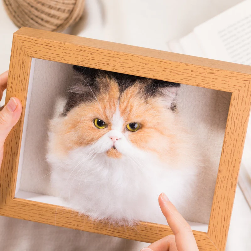 Framed Pet Portrait-cat-1